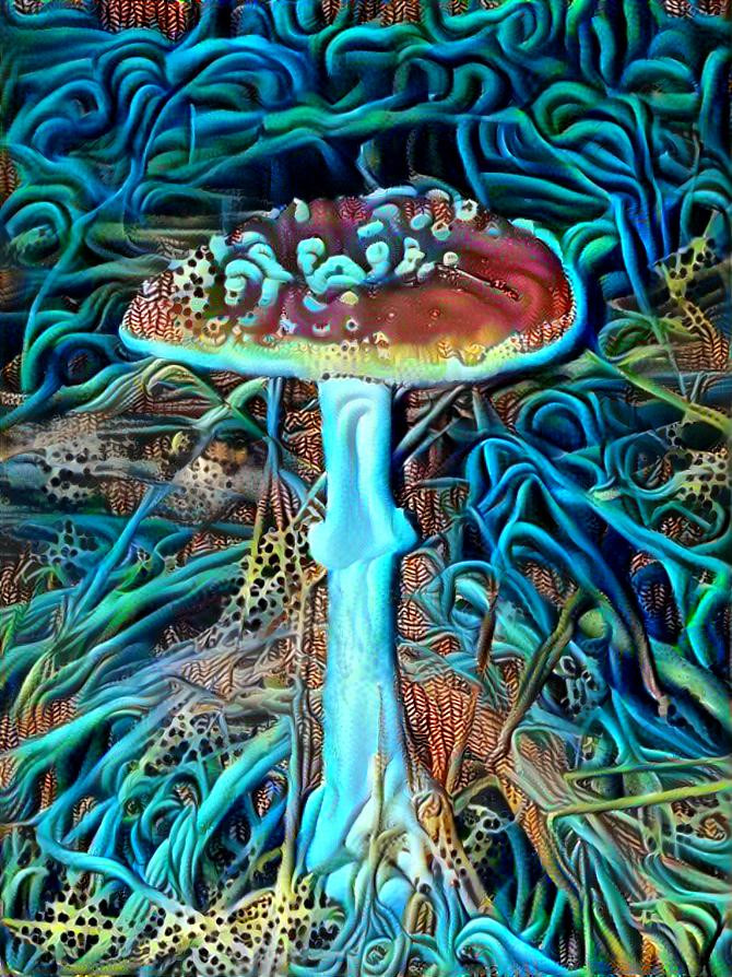 Magical mushroom 