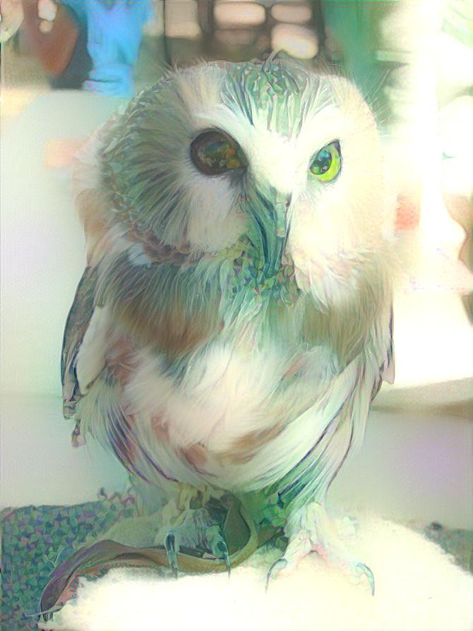Pastel Owl