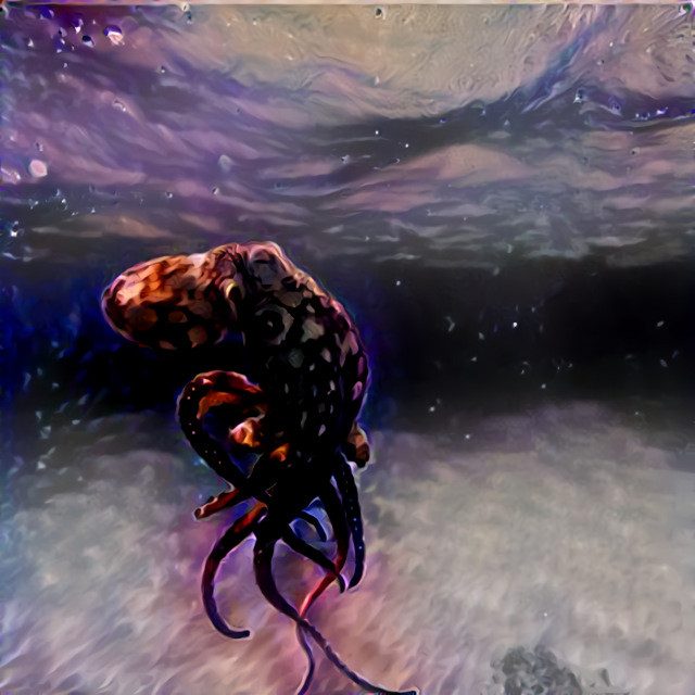 Otherworldy octopus