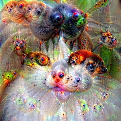 Multidimensional cat