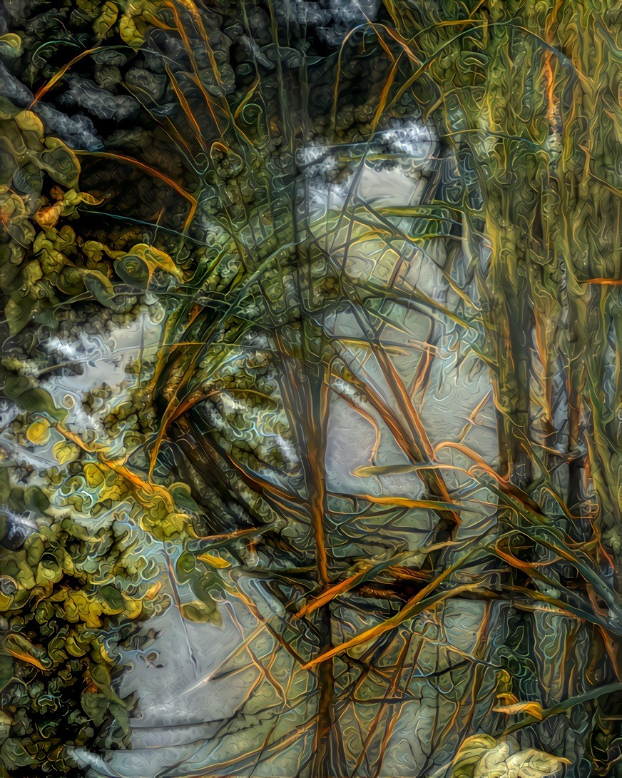 Reflection of Reeds in the Pond. Source is my own photo.