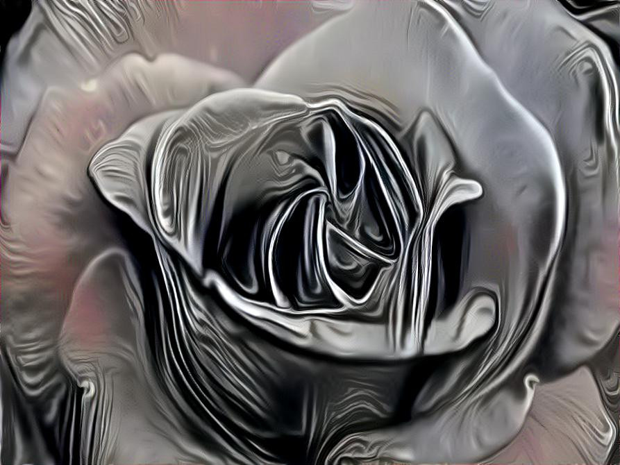 Metallic Rose