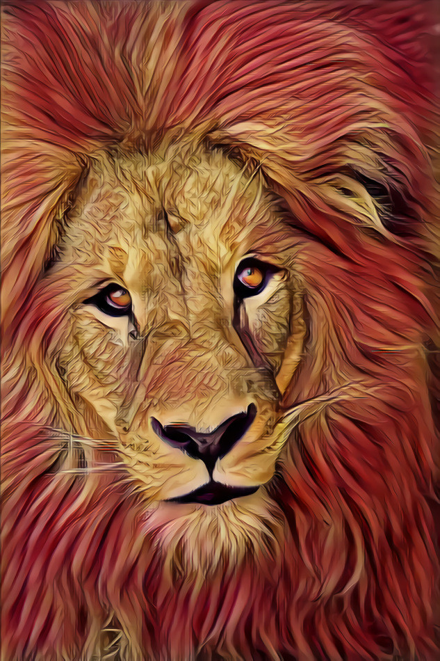 animal project - Simba Lion