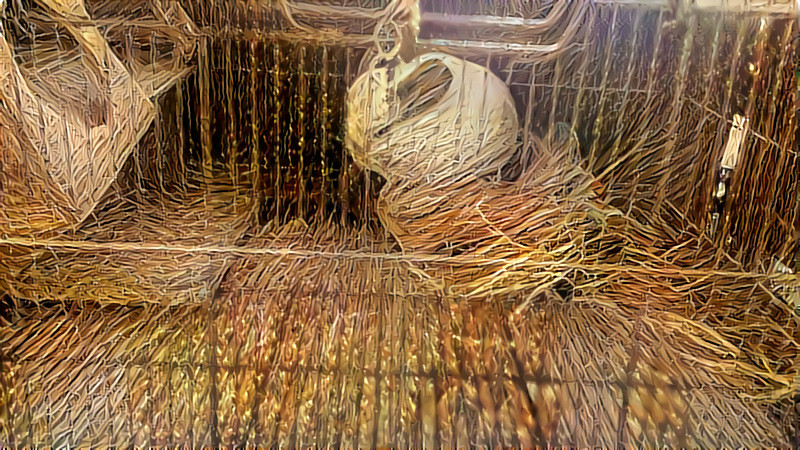 Chinchilla i dream of hay