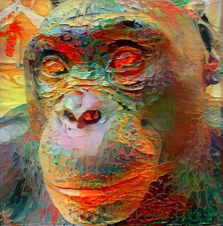chimpanzee8