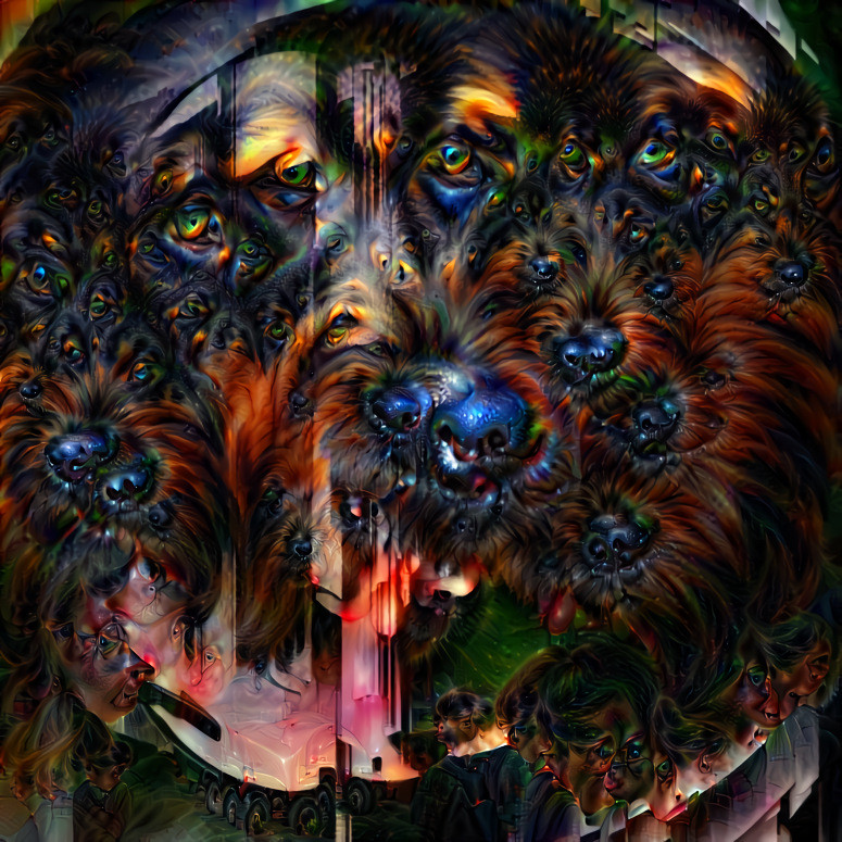 Dog From the Void 