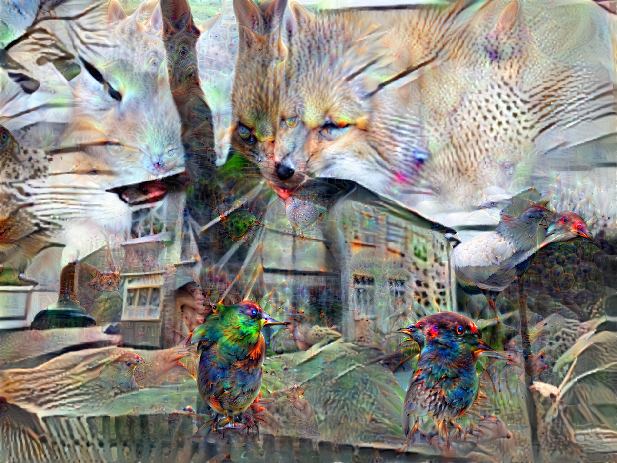 Foxes hunting birds in Panemunė