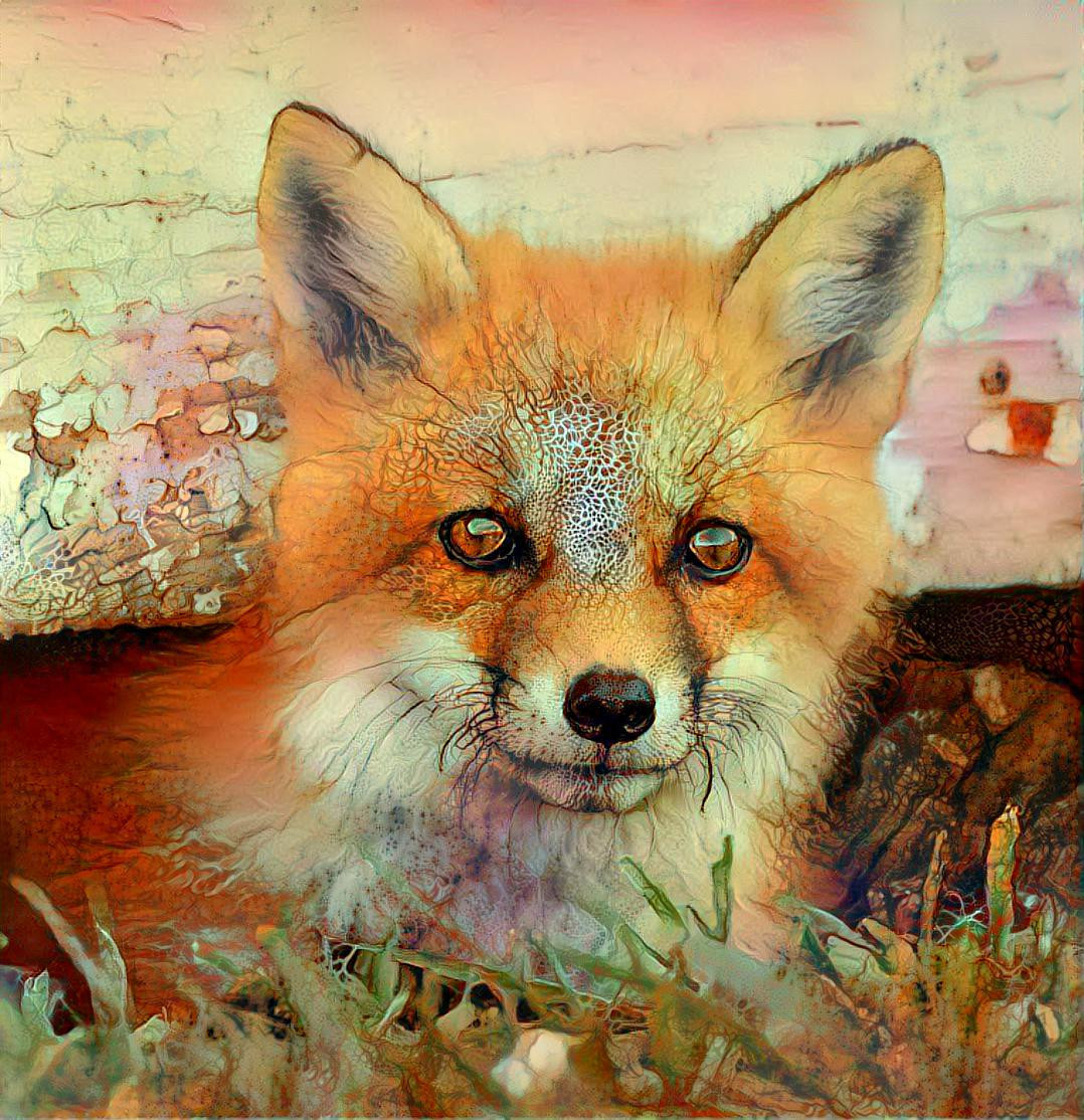 Foxy fox