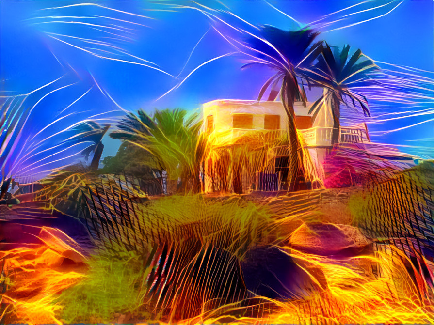 Palm house