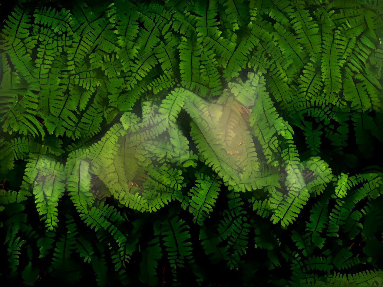 green hidden frogs