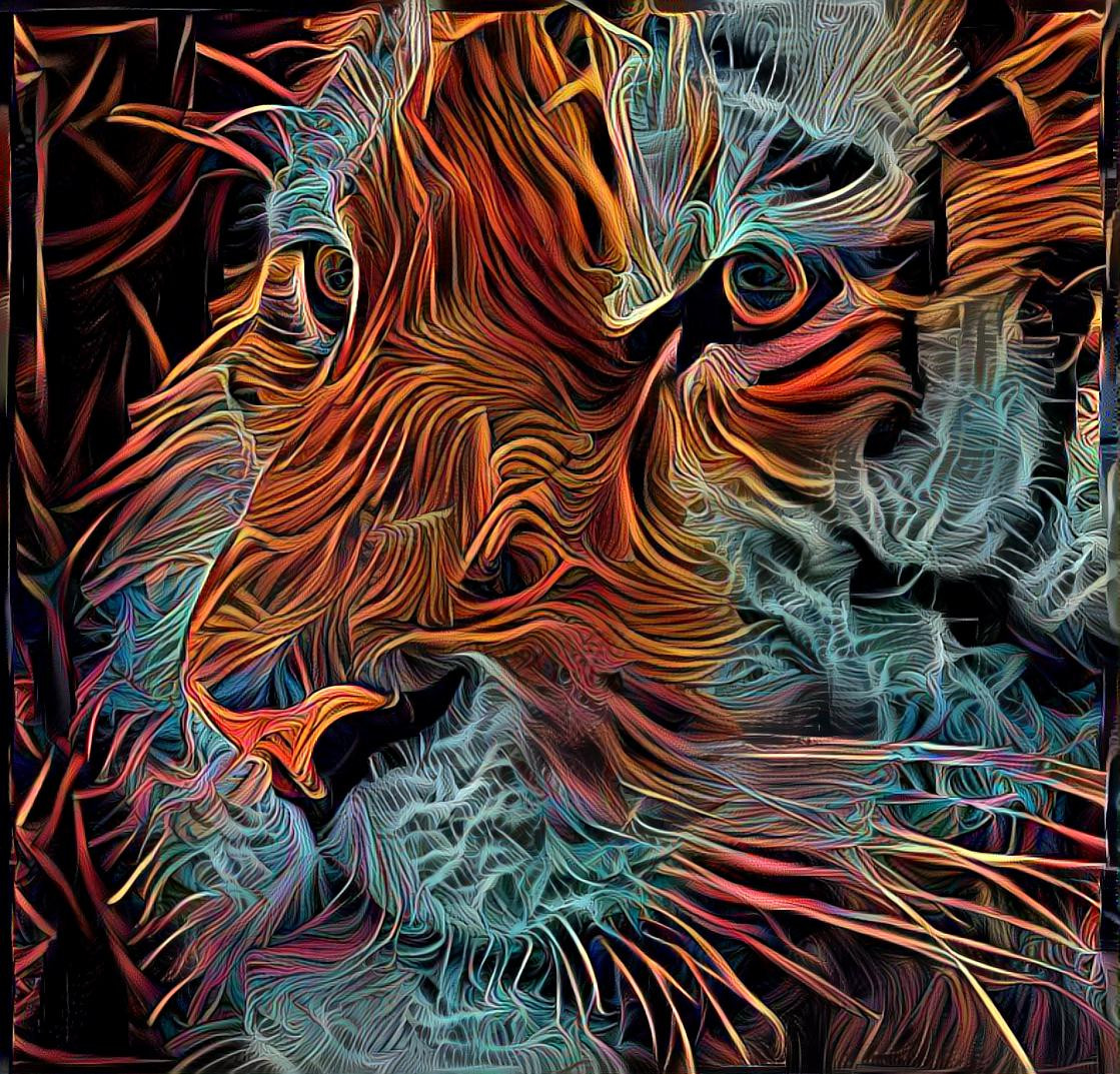 Tiger Vibrations