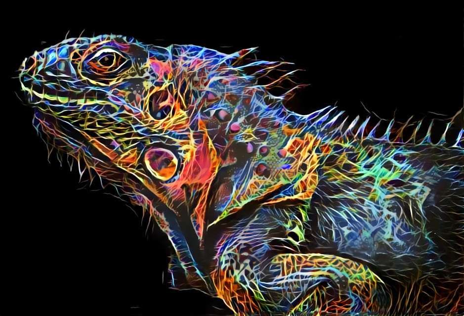 "Flaming chameleon" _ source: Amazon (paint by numbers kits) - author not found  _ (210116)