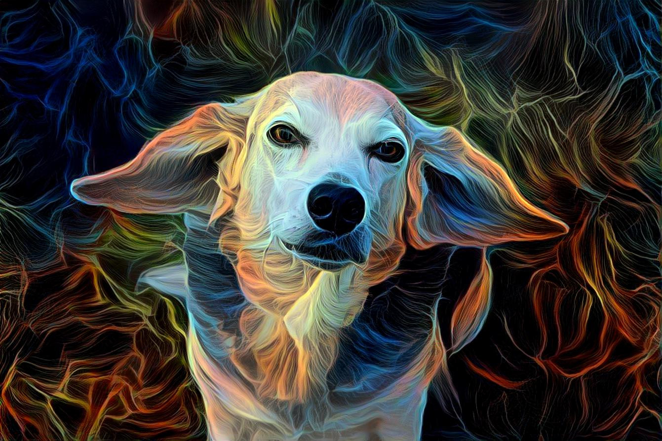 Beagle!
