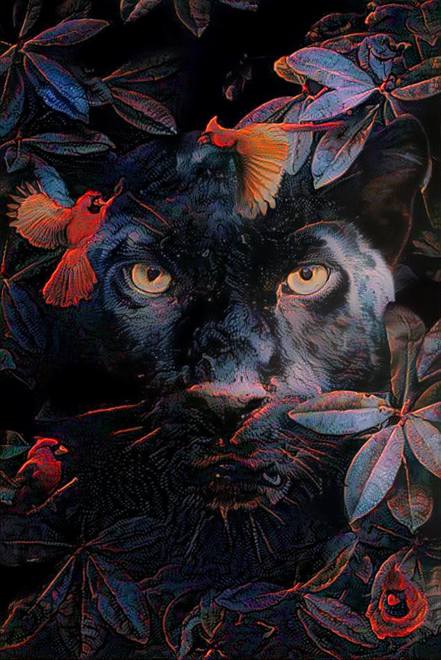~ Panther, Untitled ~