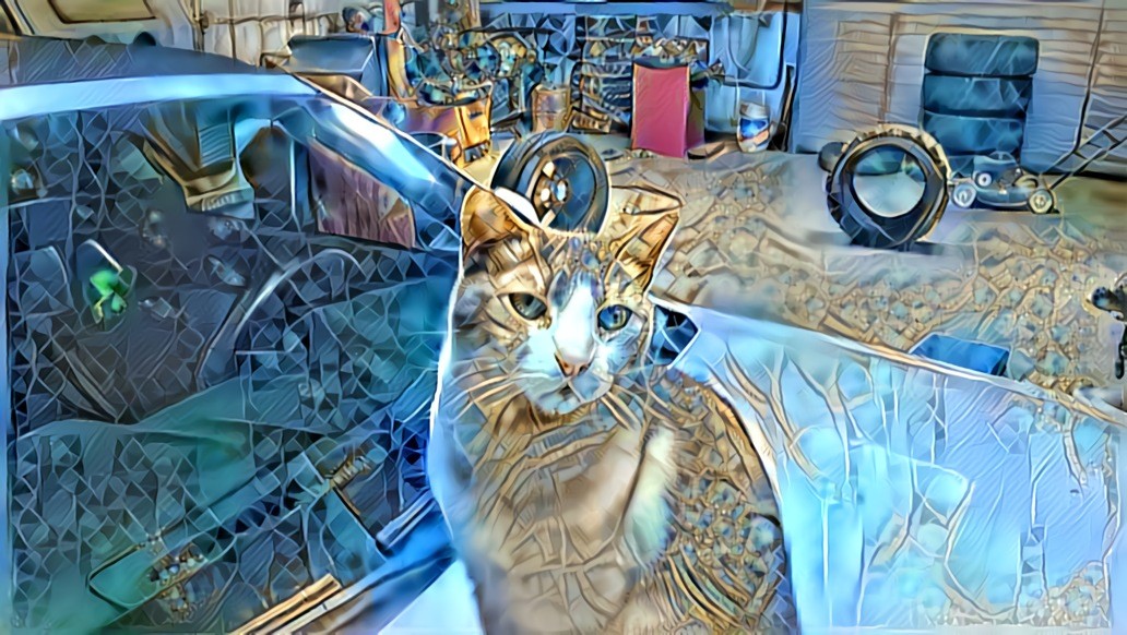 Ms. Useless the shop cat, she keeps the vermin out and provides free cat scans