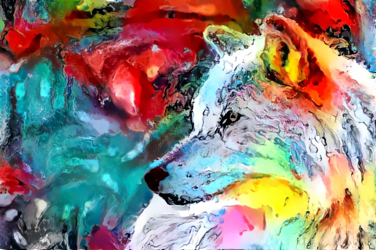 Colorful Wolf.