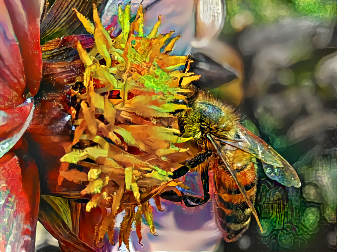 Honey Bee V2. Source is my own photo.
