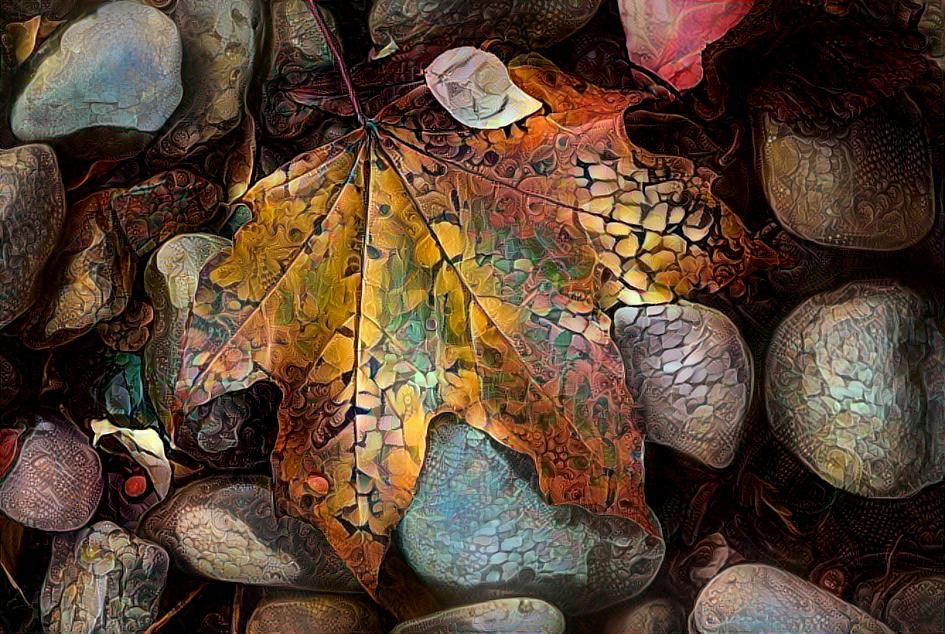 Leaf and Rocks