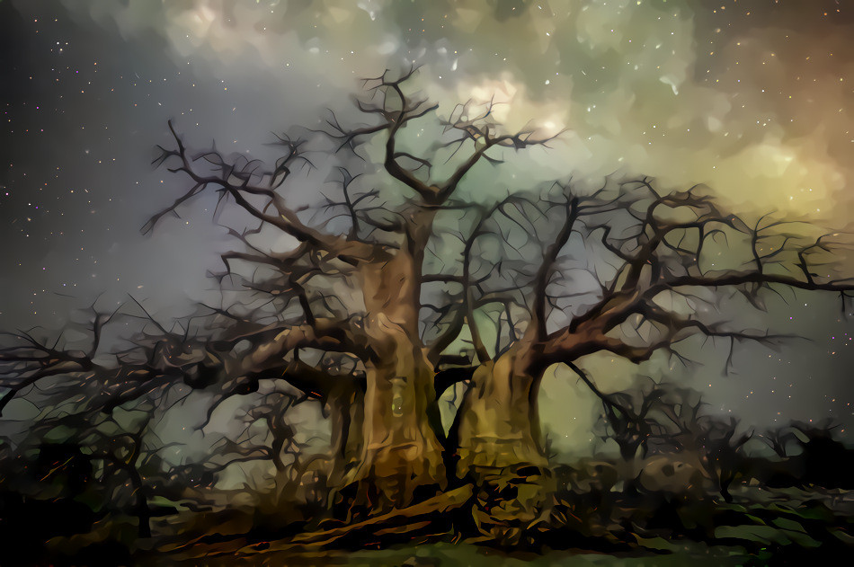 Oldest Trees of Africa (Dream No.2)
