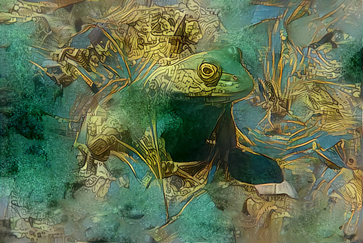 DDG Frog in the Pond