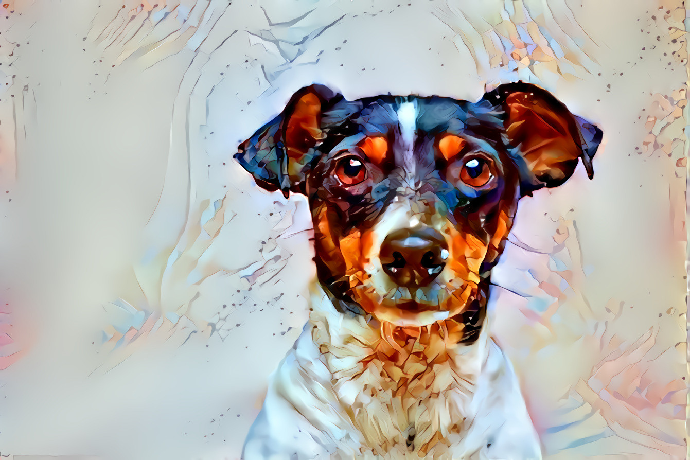 Jack Russell. Original photograph by Victor Grabarczyk on Unsplash.  Style introduced by Quan Chi.