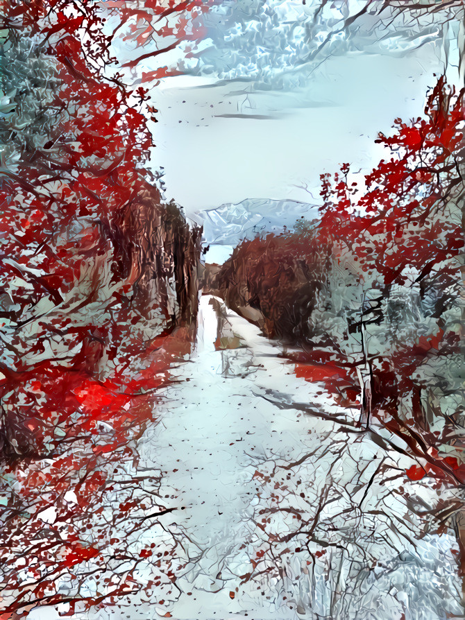 Path between Red Leaves
