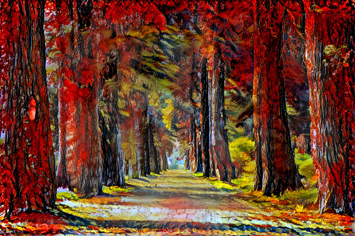 Red forest avenue