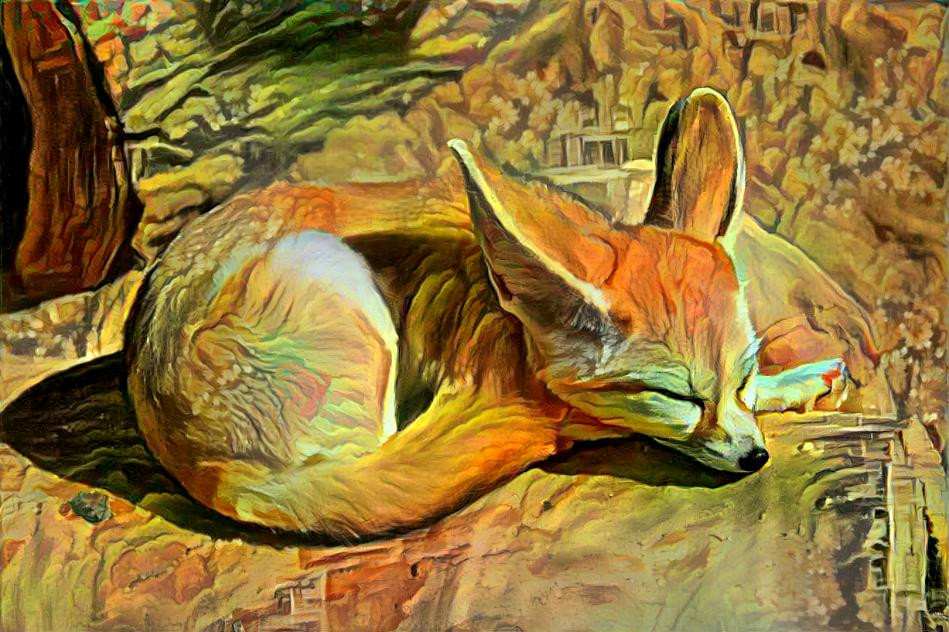 Sweet Little Desert Fox