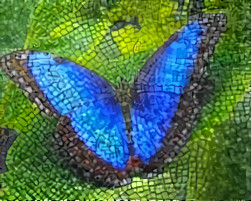 Blue Morpho (Mosaic)
