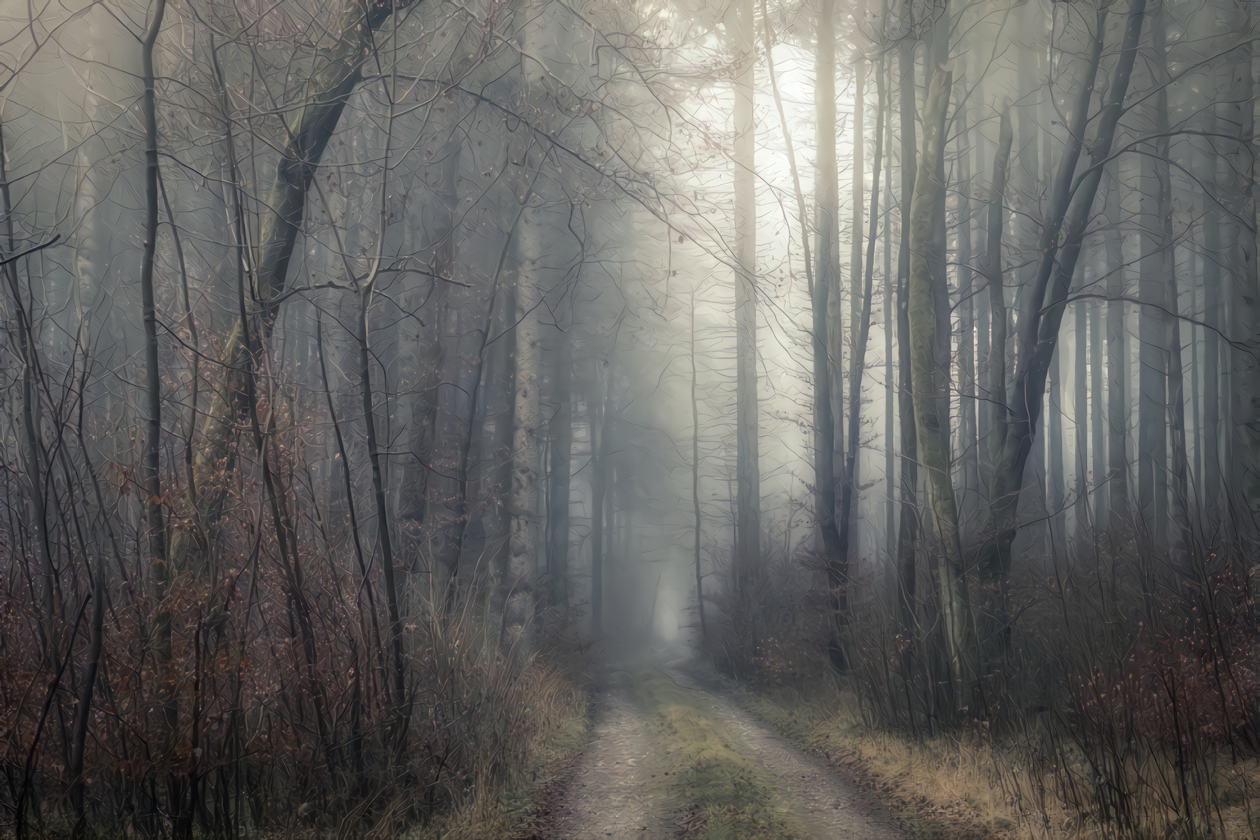 Forest Path, Fog