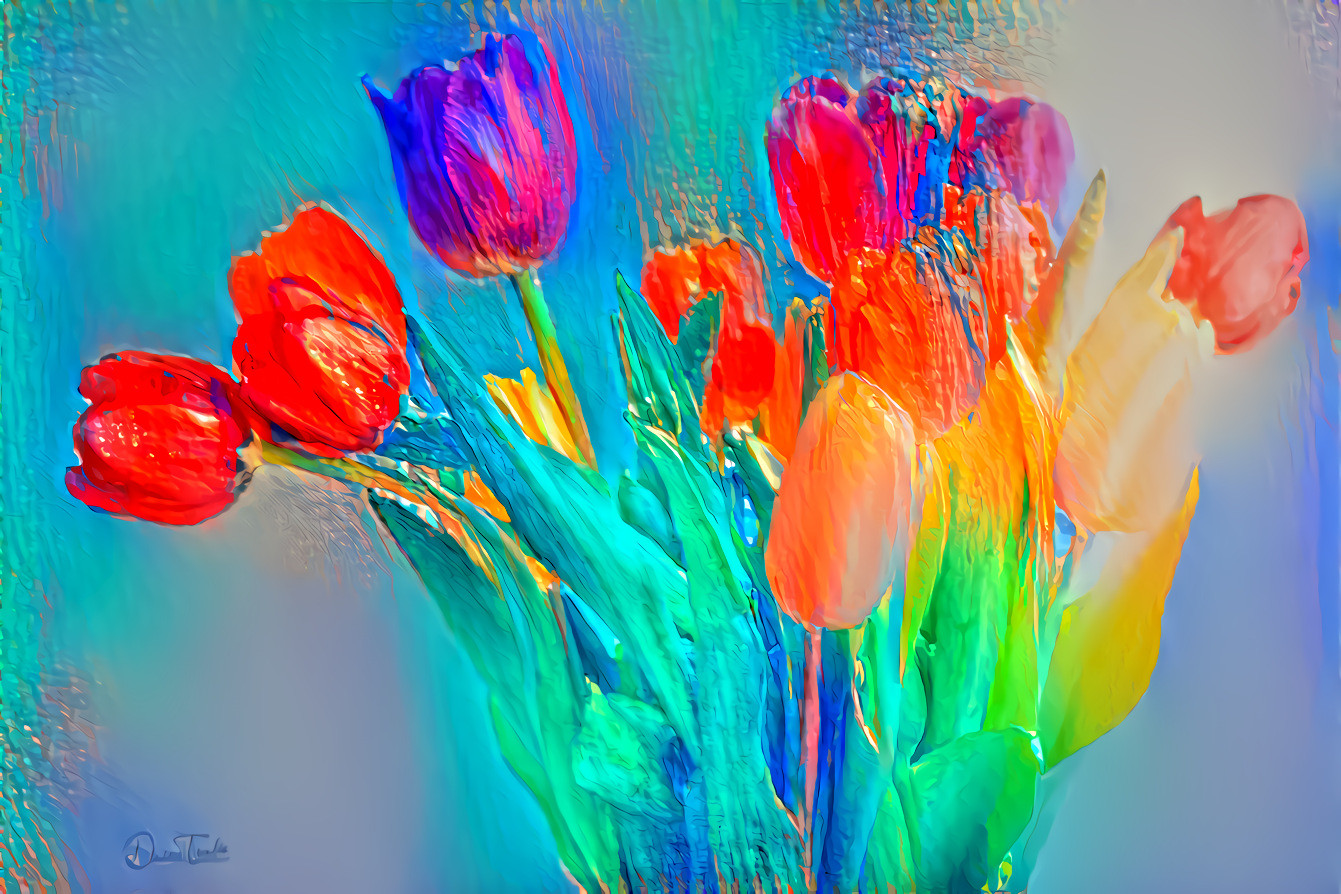 Colourful Tulips.