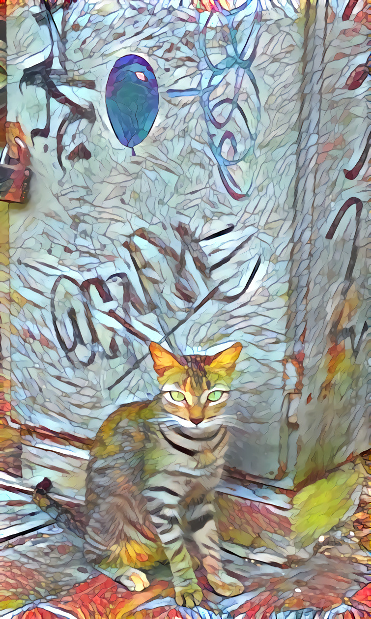 Ghetto Gato - Colombian Cat