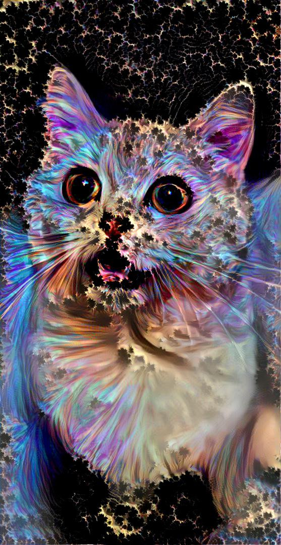 Scary fractal cat!