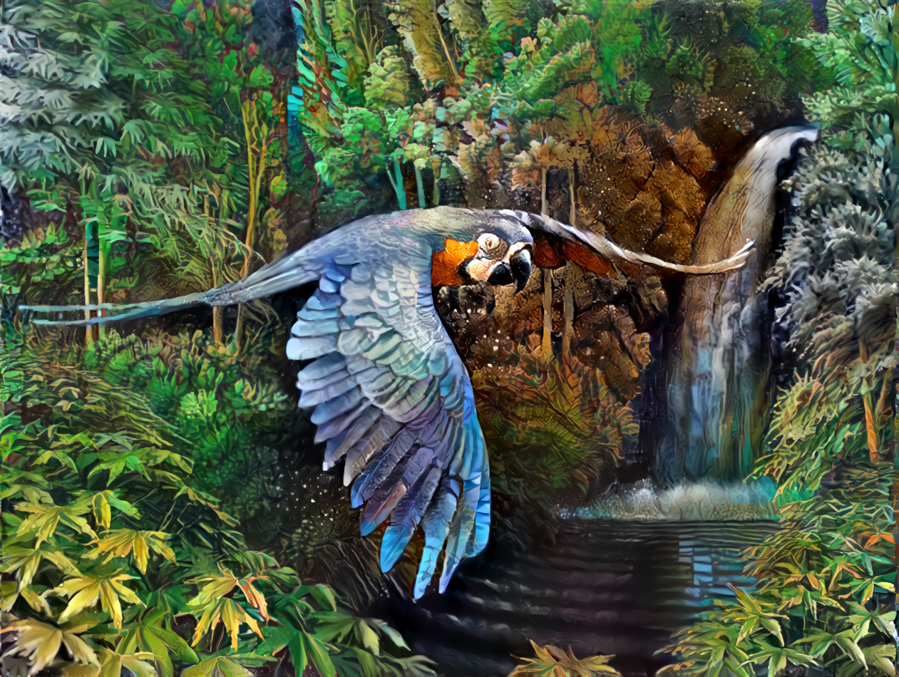 Macaw  ( Ара )