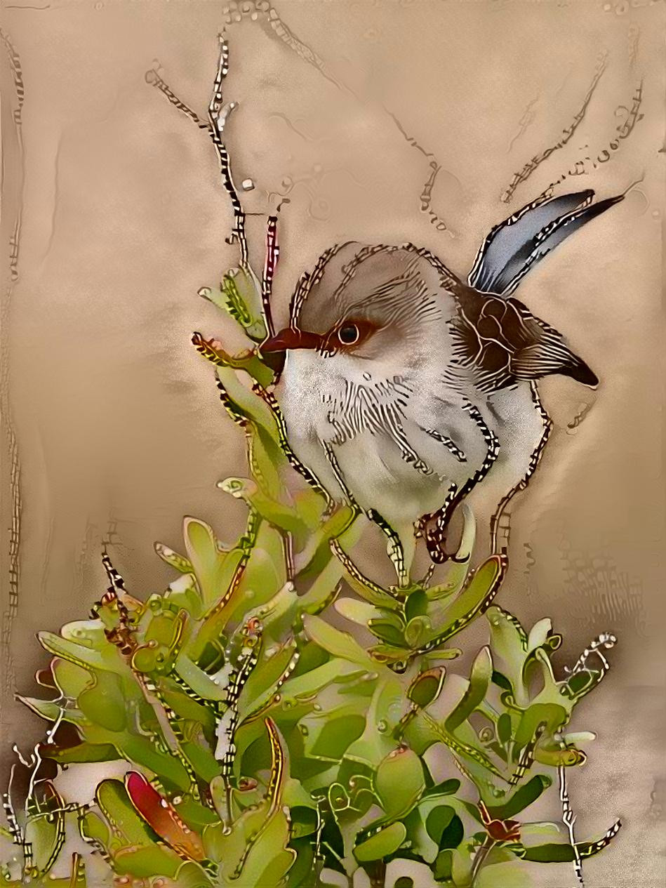 Beaded Bird -photographer David Nightengale