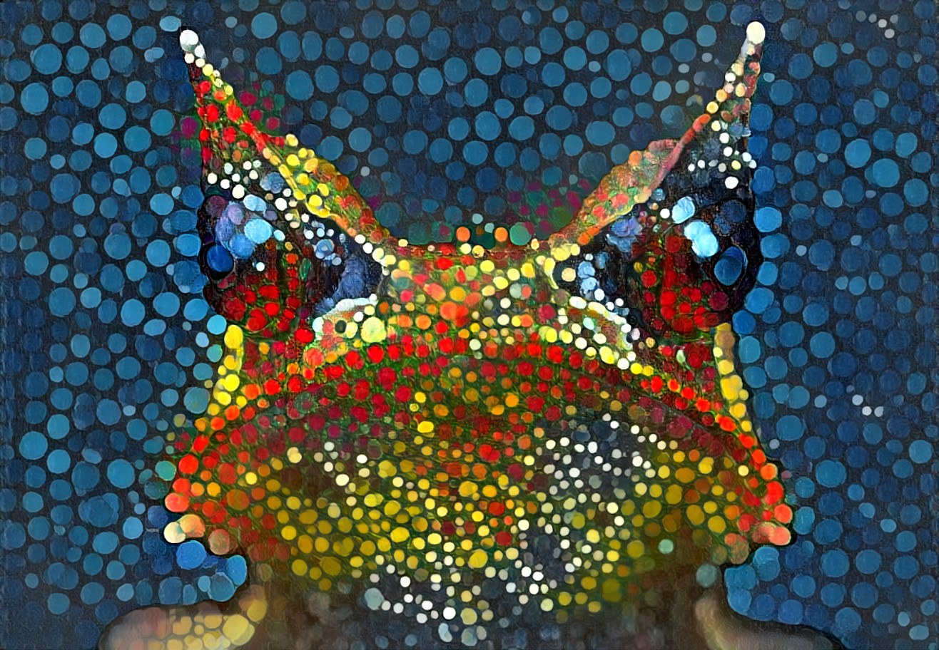 horned frog 