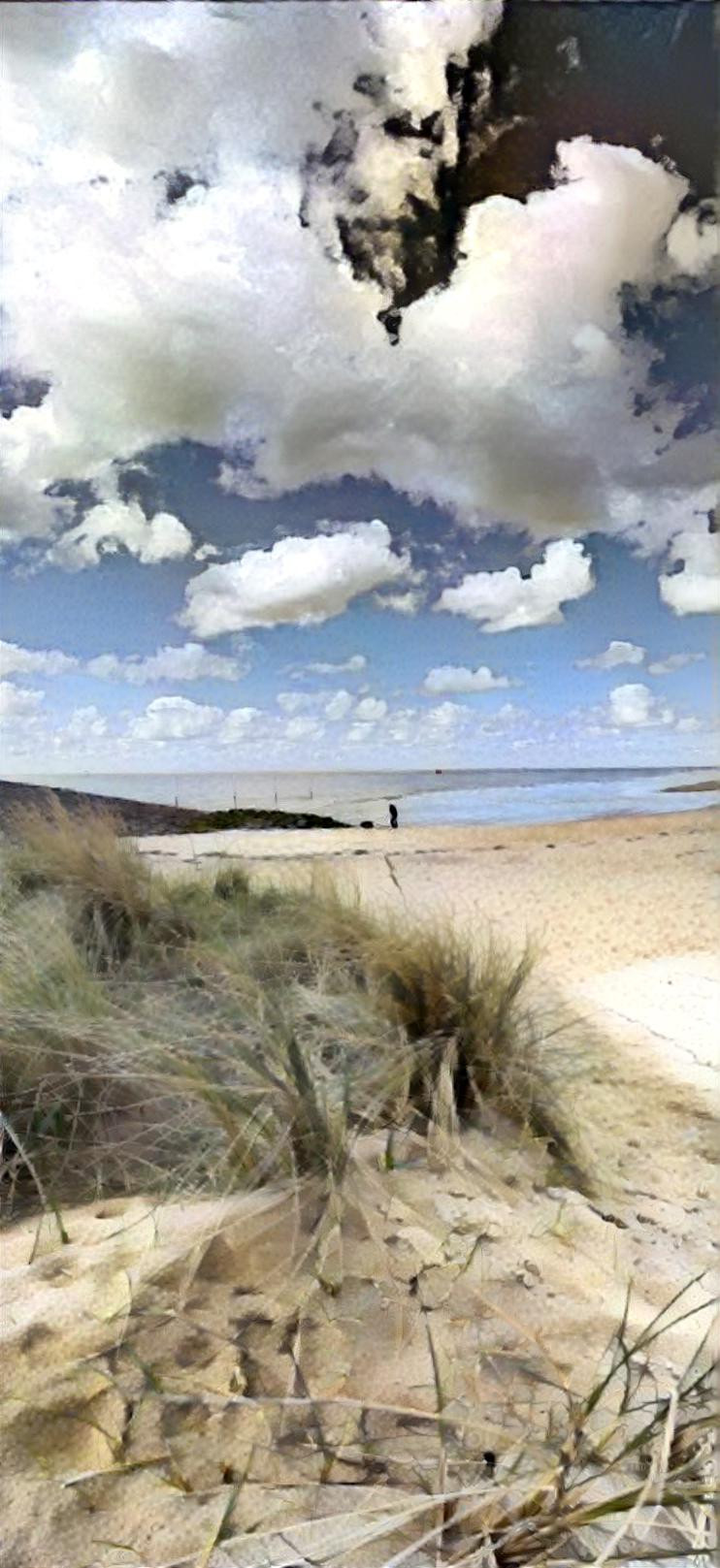 Beache and dunes