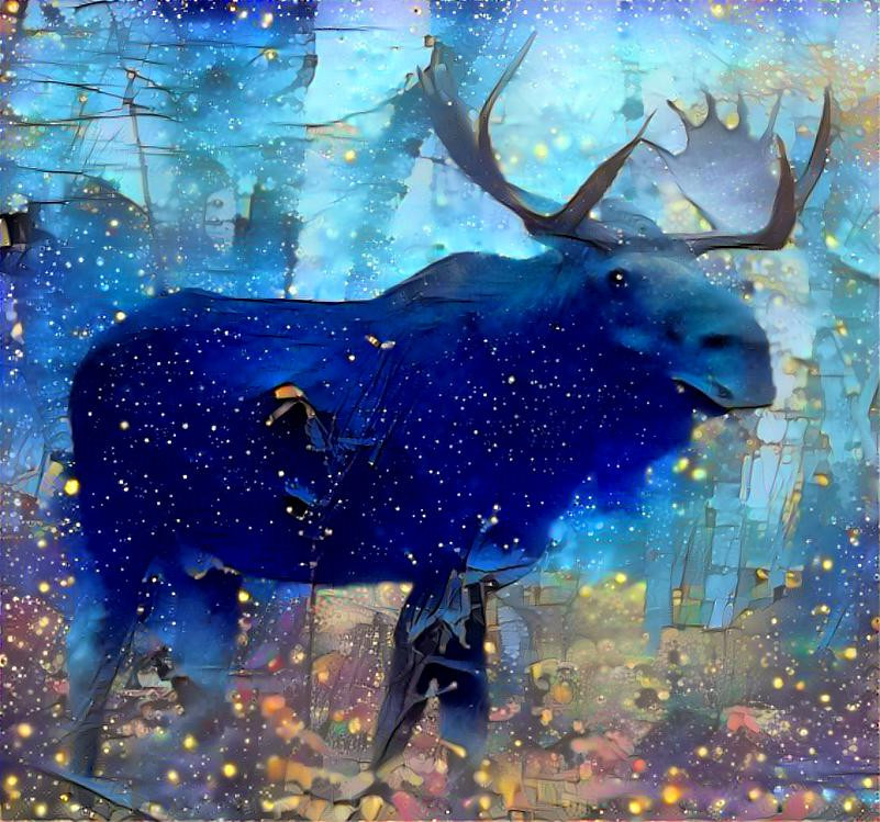The magical Christmas moose (If you like this I will either follow or/and like a lot of your pics)