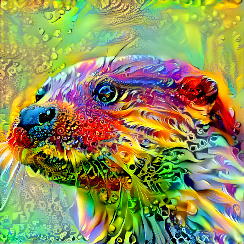 The Colourful Otter