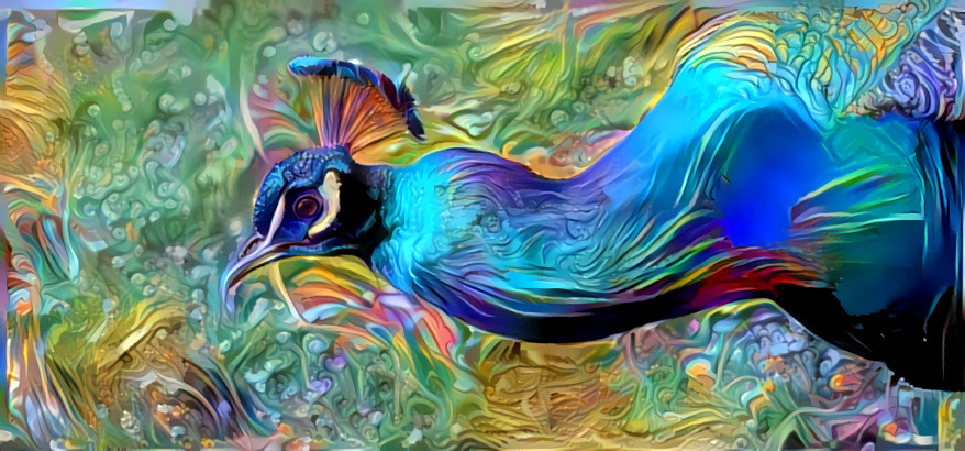 Peacock's hormones