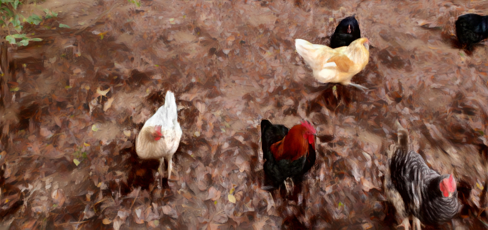 Chickens - Renoir