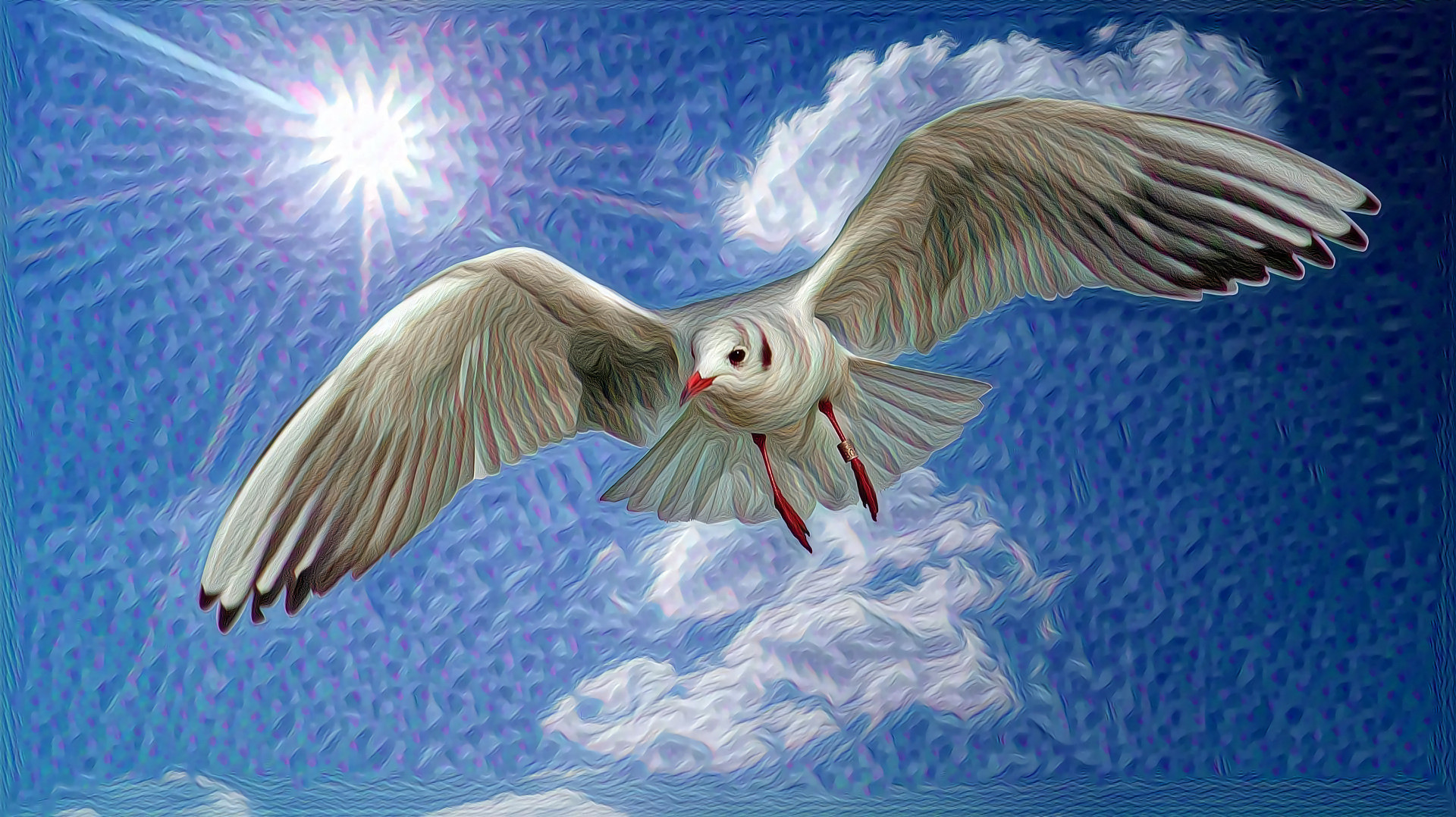 Seagull Flies with the Sun