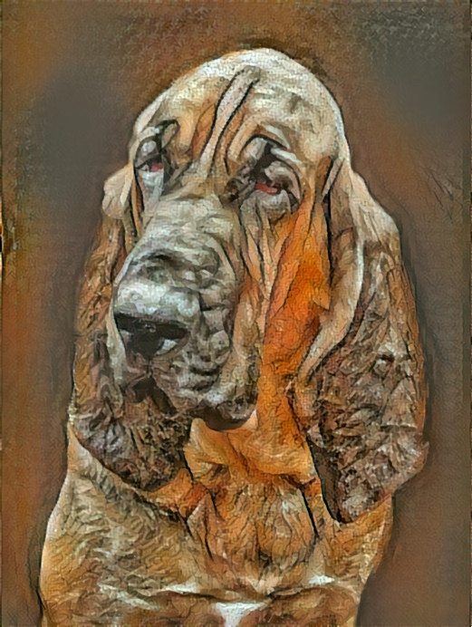 My bloodhound Pearleen