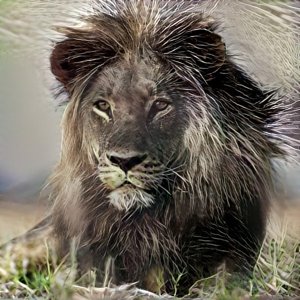 Lion with Porcupine Hat