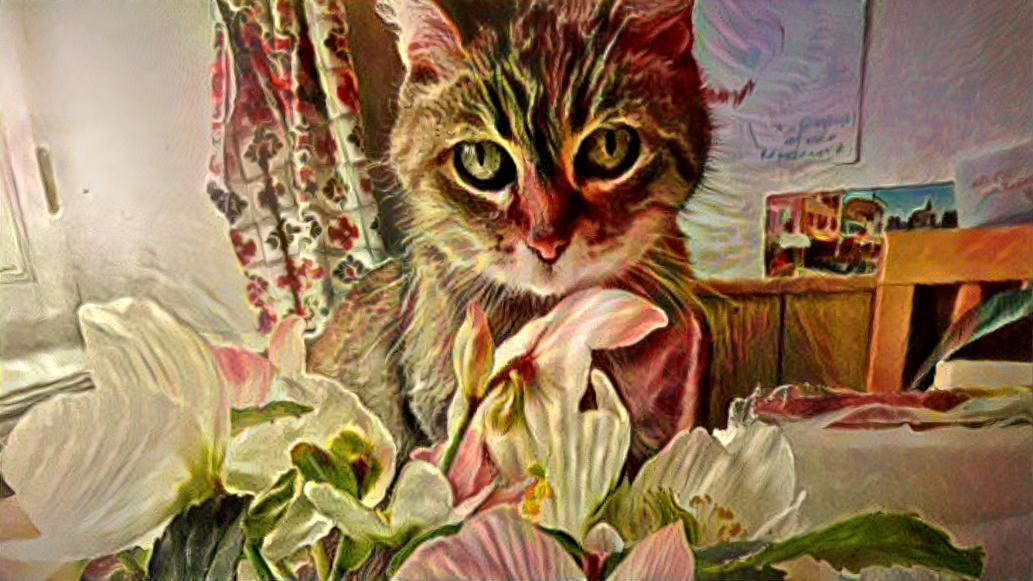 Painting Flower Cat