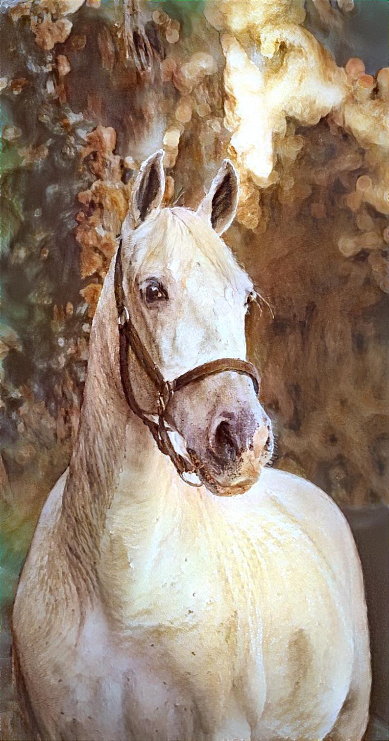 Water-colour horse