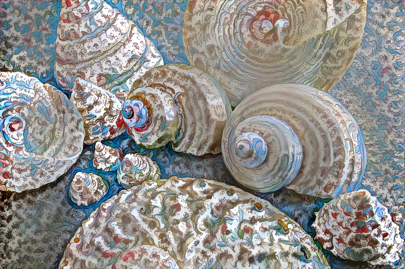 Snail shells lll