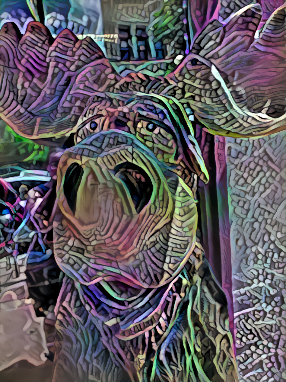 Manitou Moose