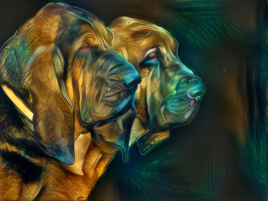 My bloodhound boys: Vondracek & his son Peppino