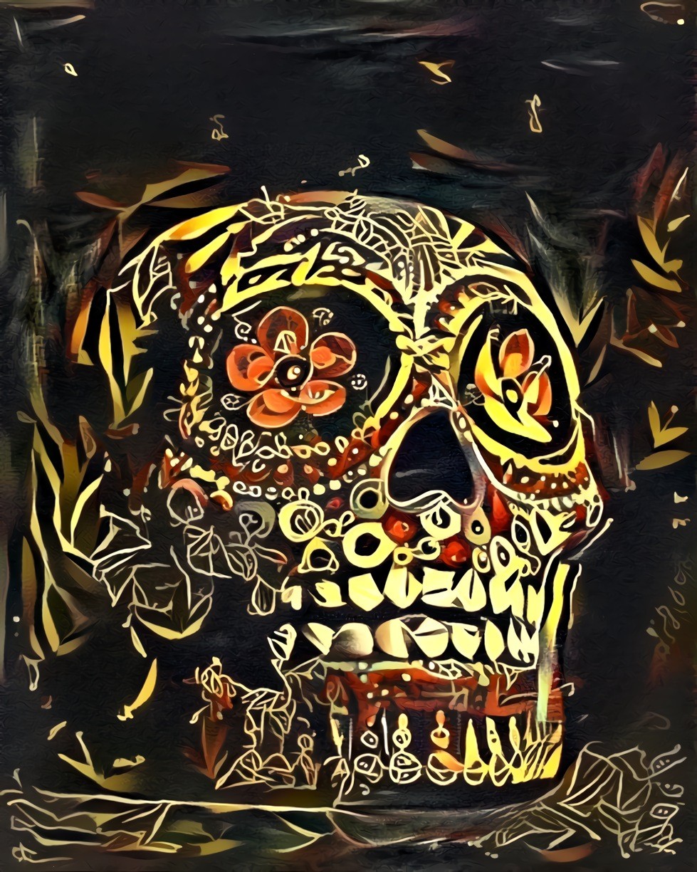 Cráneo Ilustrado IV (filter: u/bittergrace03 on reddit) •